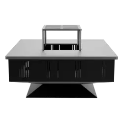 Quadrum Fireplace with Grill