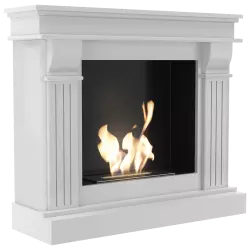 Bio Fireplace August