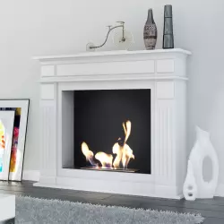 Bio Fireplace November